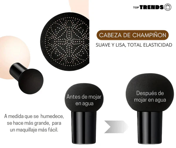 CC Cream Moisture Cushion | Base de Alta Cobertura + LABIAL NOVO